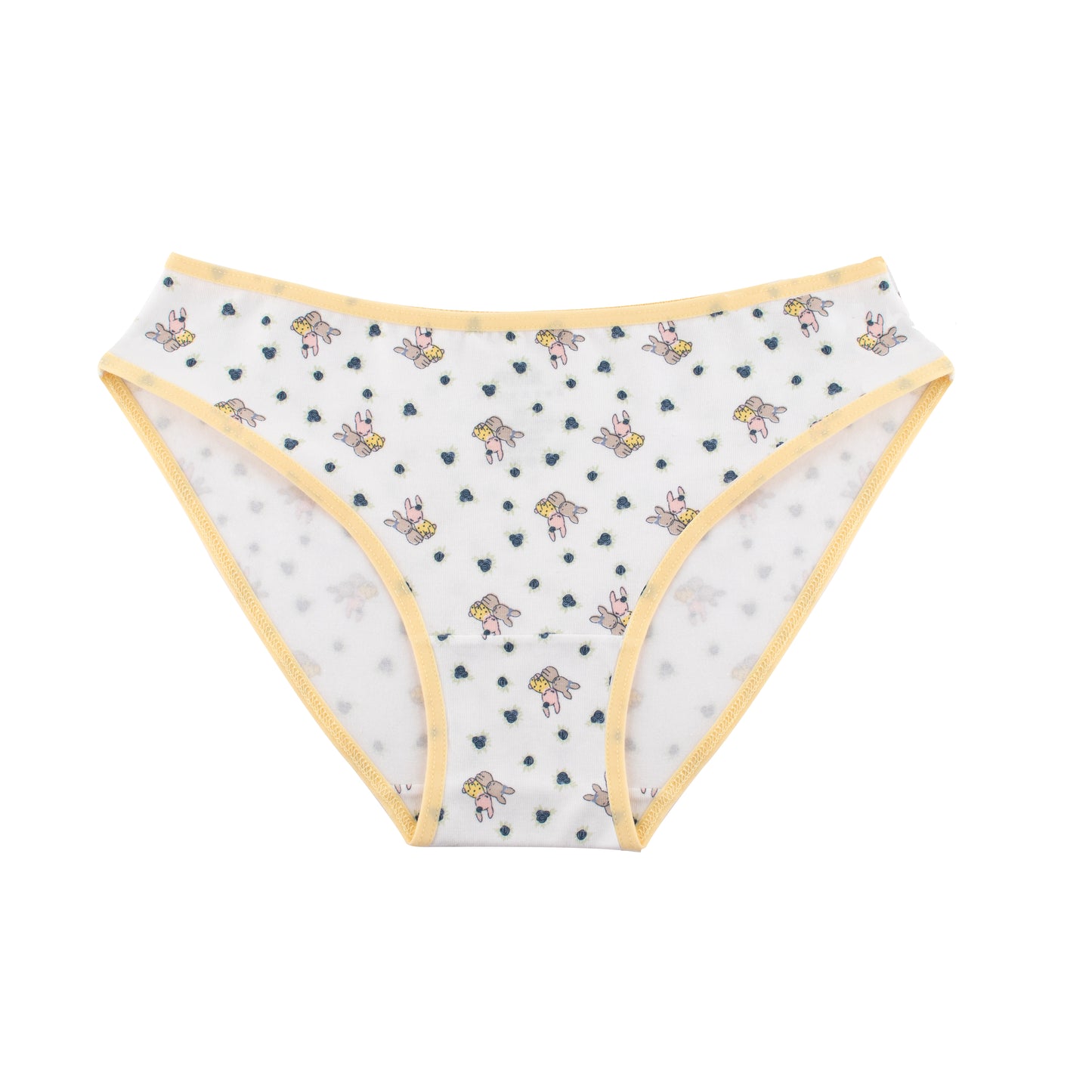 Printed Bikini - Pack of 3