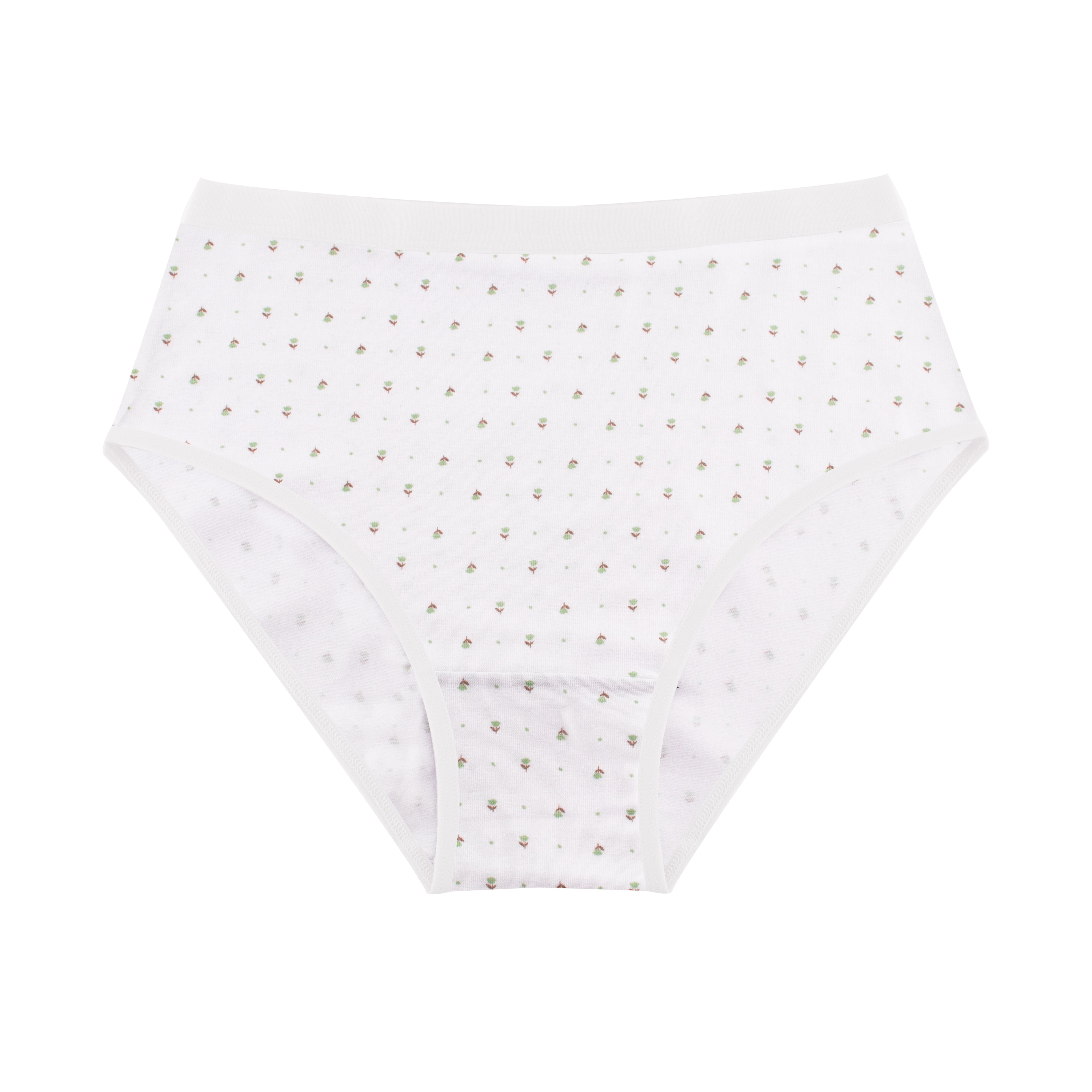 Printed Brief - Pack of 3