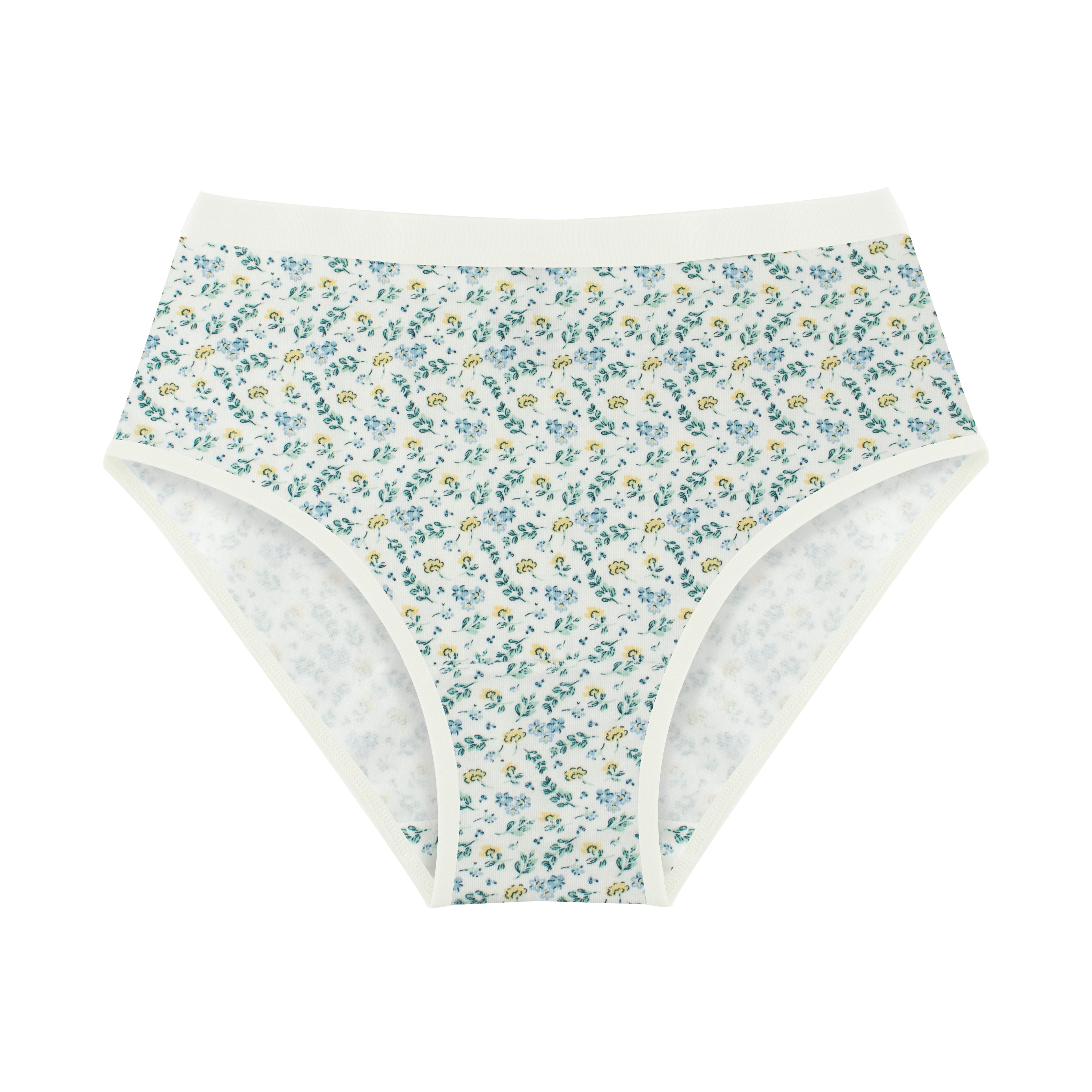 Printed Brief - Pack of 3