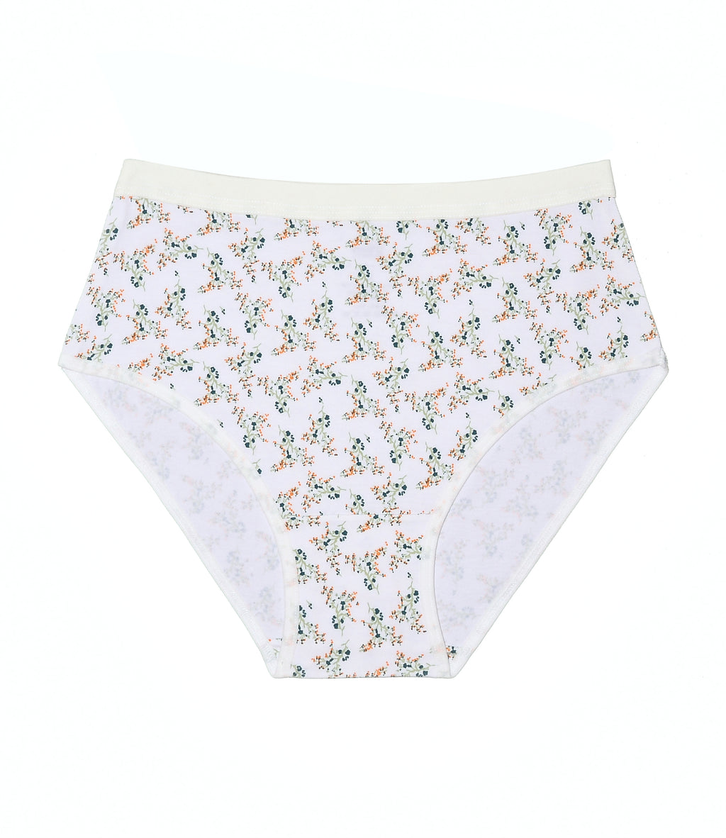 Printed Brief - Pack of 3
