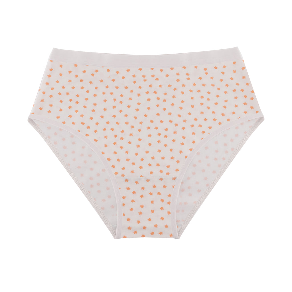 Printed Brief - Pack of 3