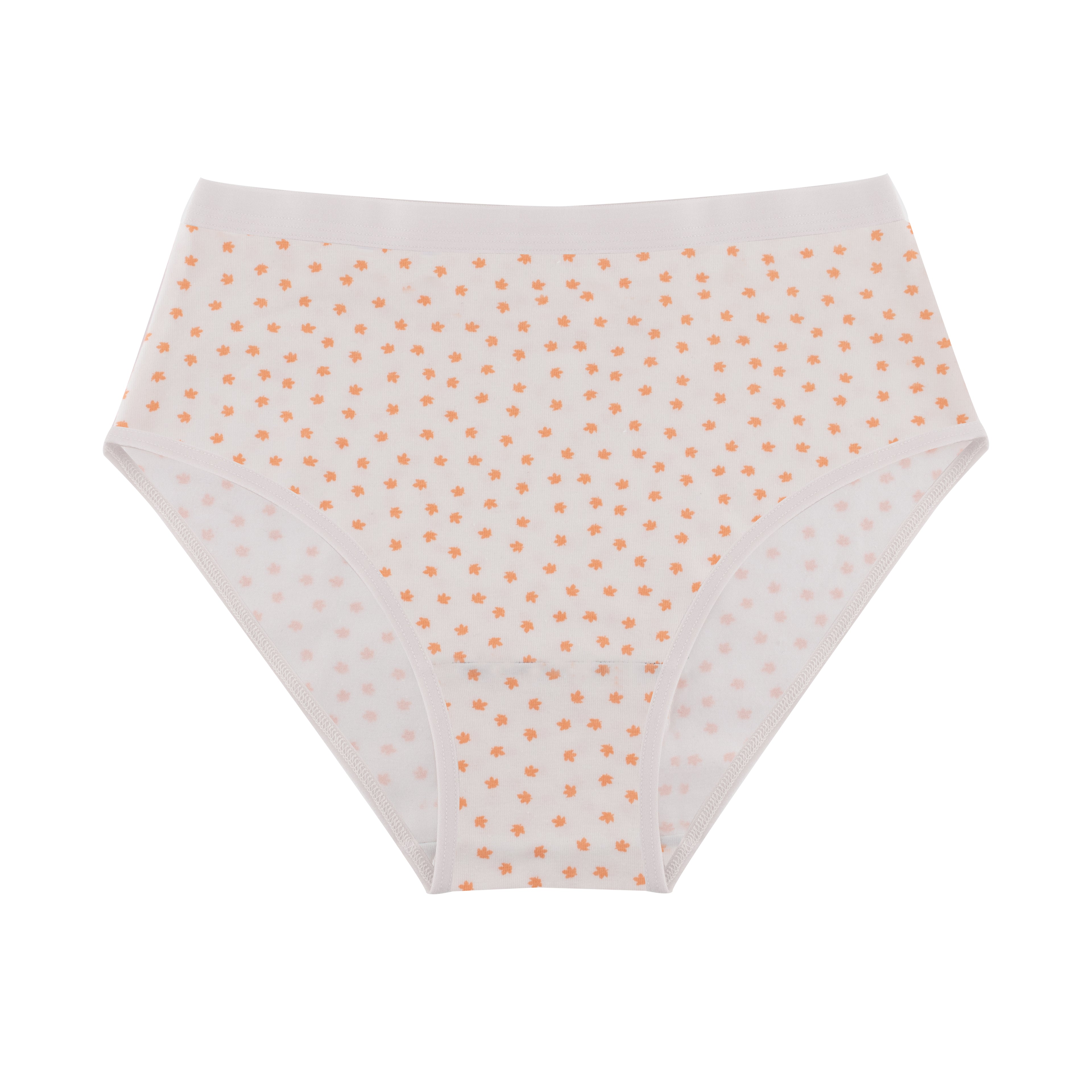 Printed Brief - Pack of 3