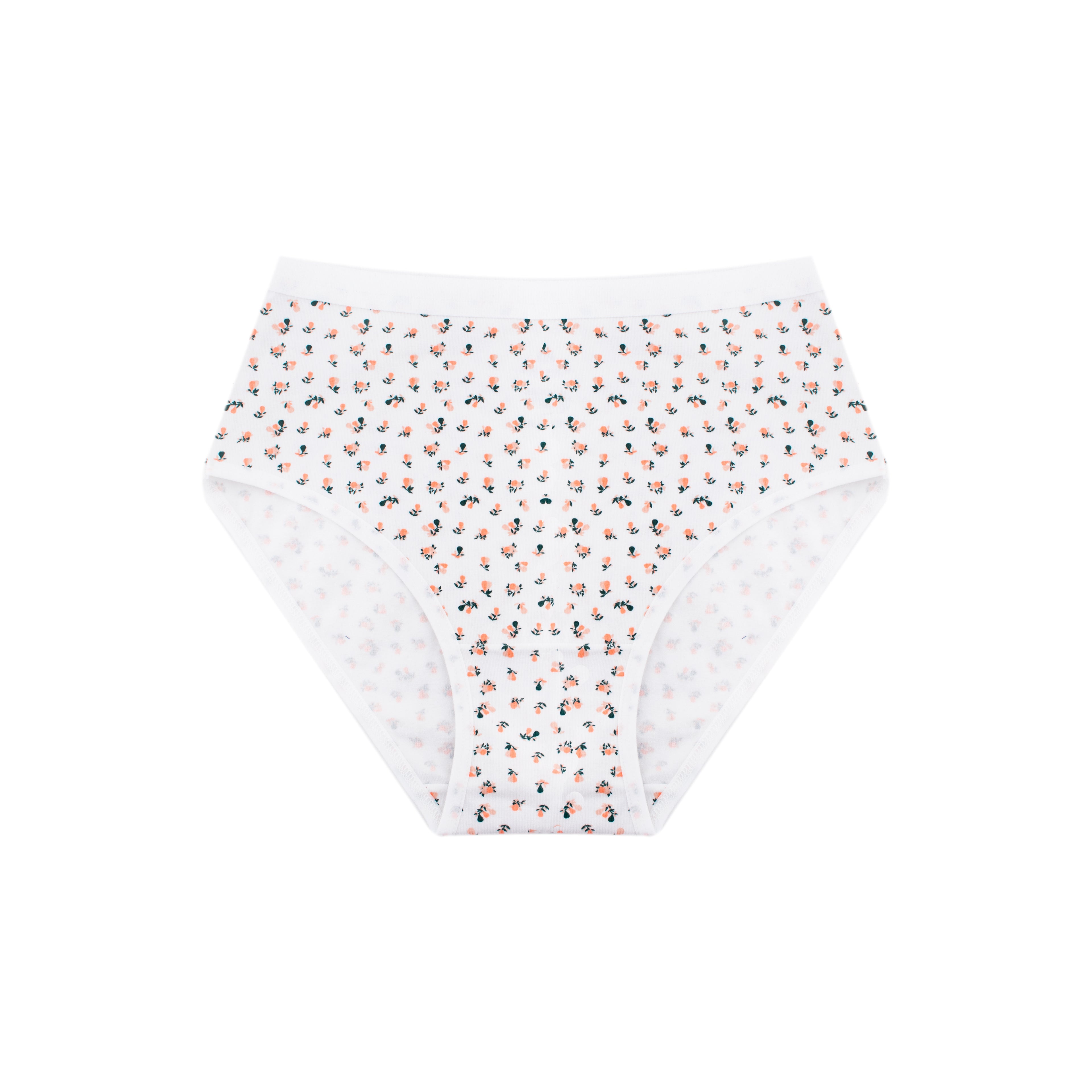 Printed Brief - Pack of 3