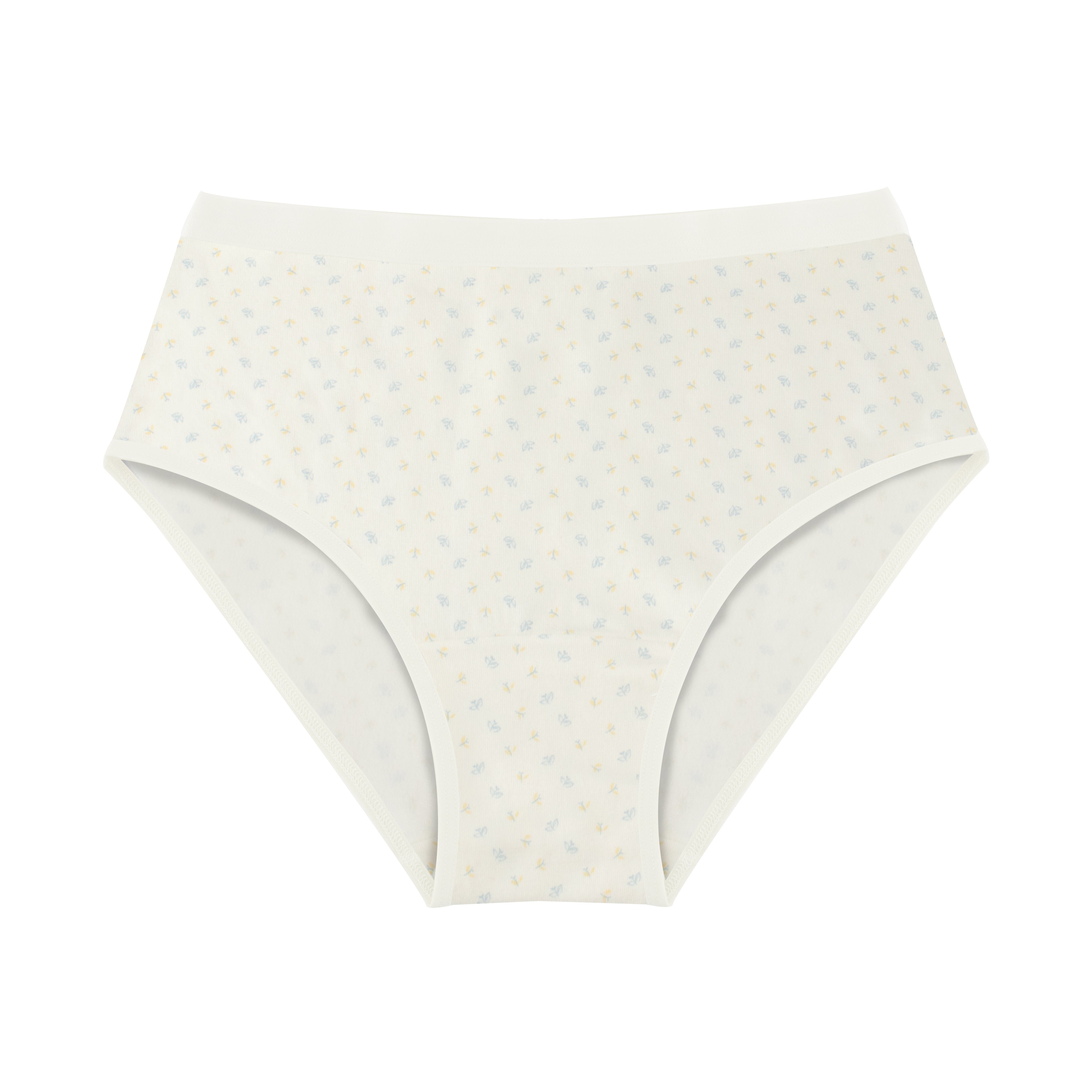 Printed Brief - Pack of 3