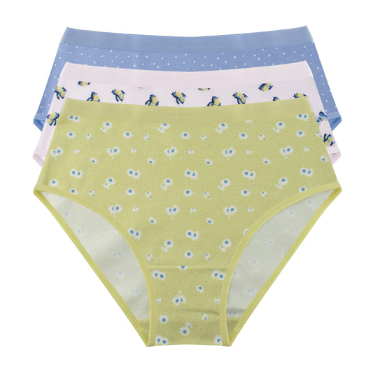 Printed Brief - Pack of 3
